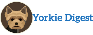 Yorkie Digest